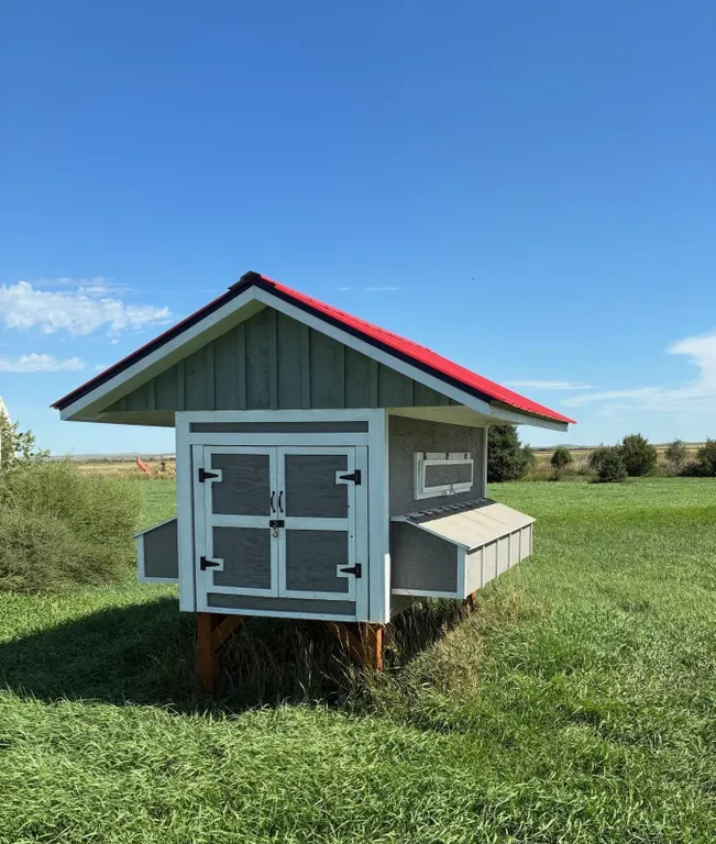 Chicken Coop