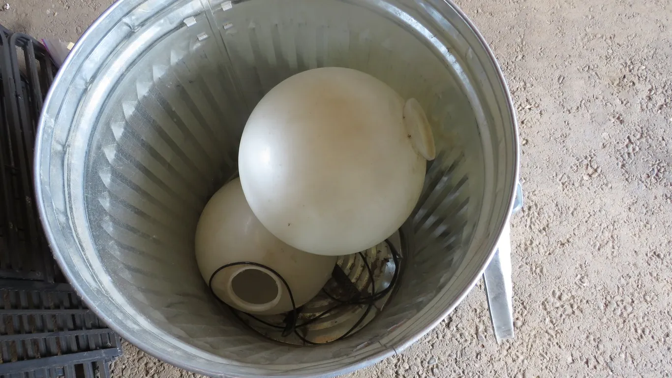 Trash Can and Light Globes