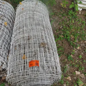 Roll of Wire Fence