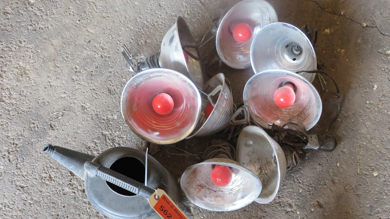 (8) Heat Lamps and Water Can
