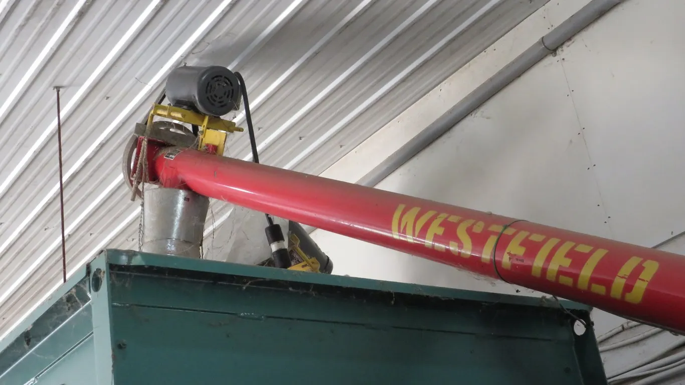 Westfield Approx. 6" x 250" Auger