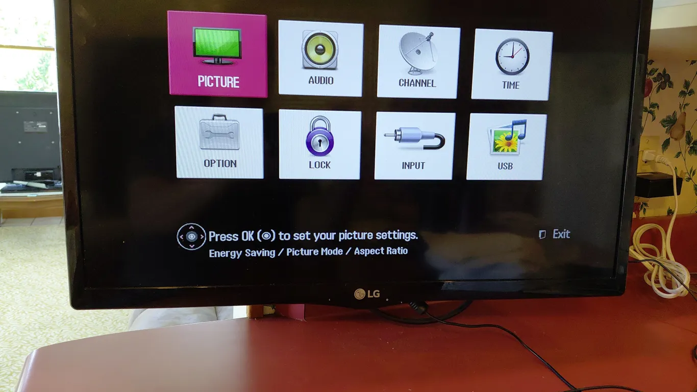 LG 24 Inch TV