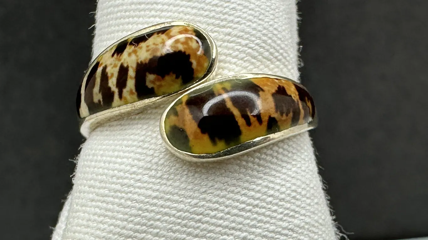 Polished Tiger Cowrie Shell Bypass 925 Sterling Silver Ring Sz 7