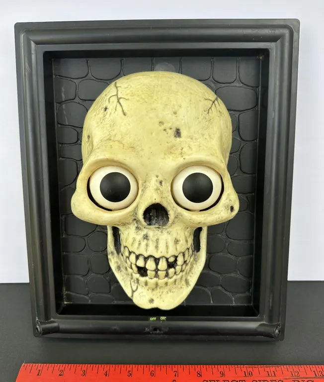 Fright Frame Skull Skeleton Head Battery Operated Picture Motion Detector Halloween Decor