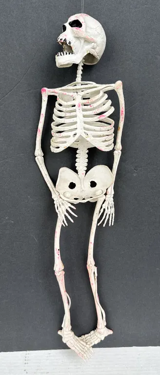 Hanging Rubber Full Body 25" Skeleton