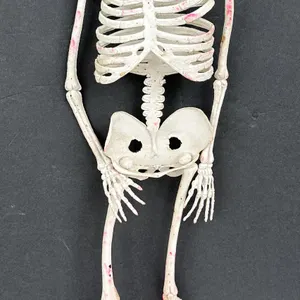 Hanging Rubber Full Body 25" Skeleton