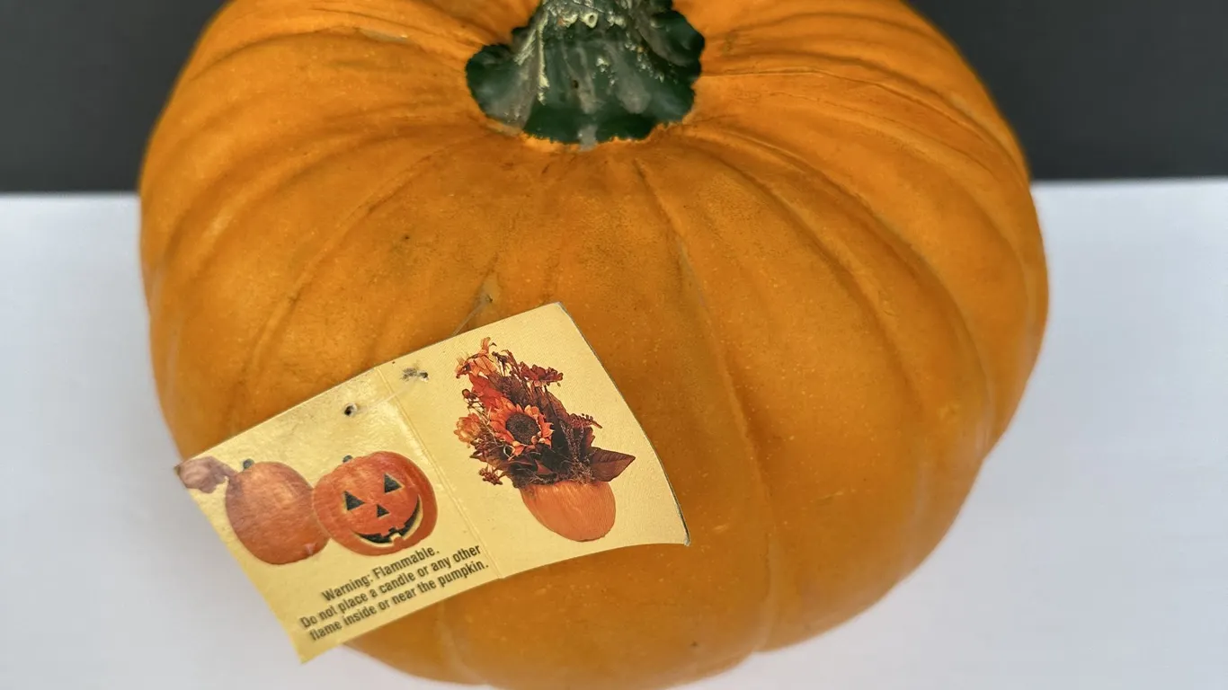 Michael's Carvable 7.5" T Foam Pumpkin Unused w/ Tags