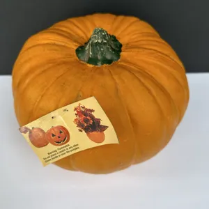 Michael's Carvable 7.5" T Foam Pumpkin Unused w/ Tags