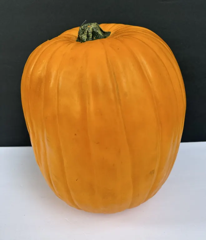 Michael's Carvable 13" T Foam Pumpkin Unused