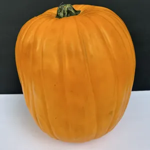Michael's Carvable 13" T Foam Pumpkin Unused