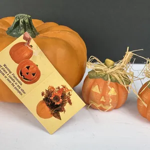 Michael's Carvable 4" T Pumpkin Unused w/ Tags & Mini Ceramic Jack-O-Lanterns