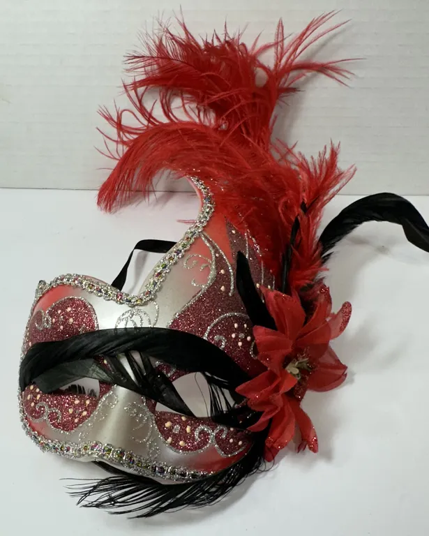 Fancy Red Black Feather Masquerade Half Eye Mask Party