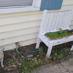 Bench, Hose Reels & Garden Décor