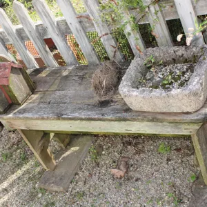 Bench, Birdhouse & Planter