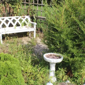 Garden Bench, Birdbath, Wheelnarrow Planter, Patio Table, Umbrella Stand & Bee Hive