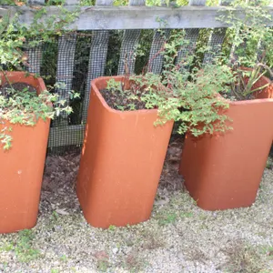 Terracotta Planters