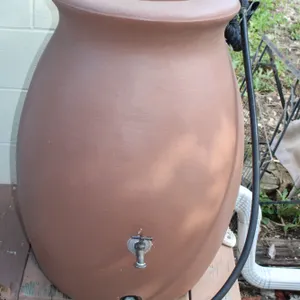 Rain Barrel