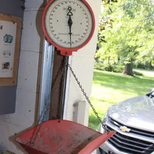 American Family Scale