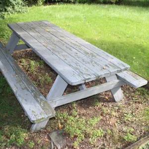 Wood Picnic Table