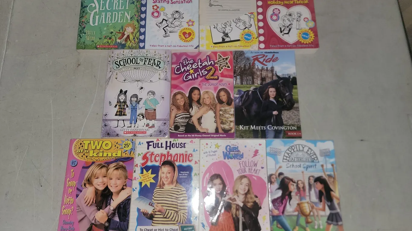 11 Assorted Kids Chapter Books-Dork Diaries, School Of Fear, Disney, Etc.