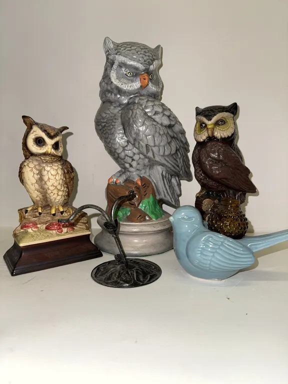 Birds