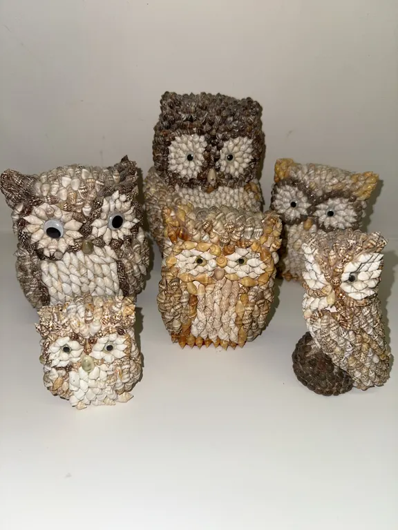 Shell owls