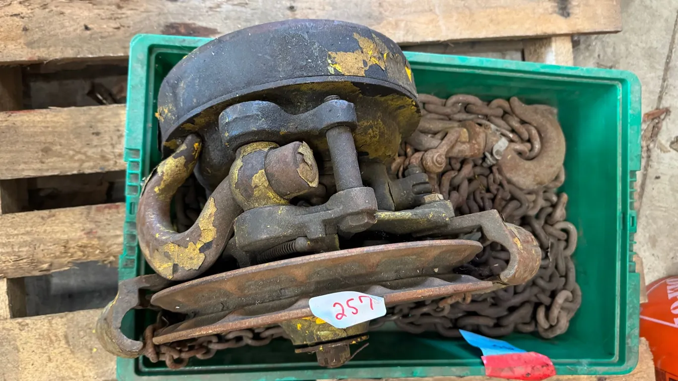 Chain hoist