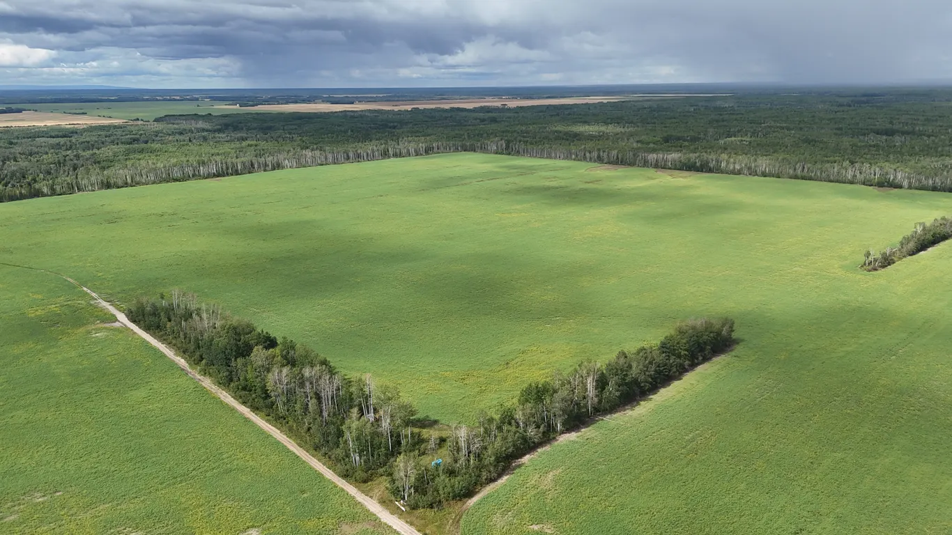 La Crete, AB NW-12-110-15-W5 157 +/- Total Acres on Titled Farmland