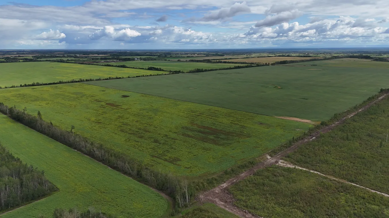 La Crete, AB NE-5-110-14-W5 159 +/- Total Acres on Titled Farmland