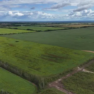 La Crete, AB NE-5-110-14-W5 159 +/- Total Acres on Titled Farmland