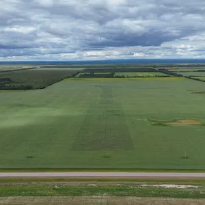La Crete, AB SE-5-110-14-W5 151.99 +/- Total Acres on Titled Farmland