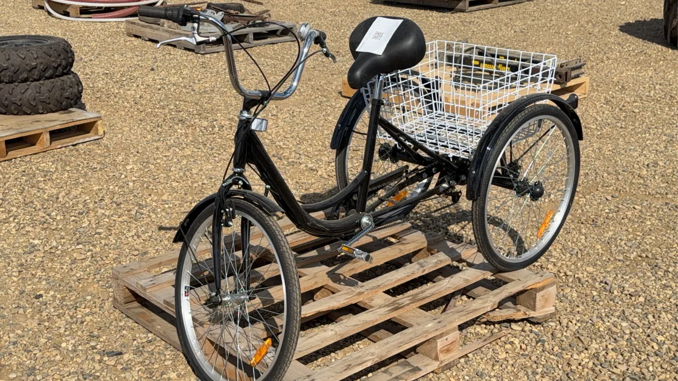 Adult Tricycle with Basket