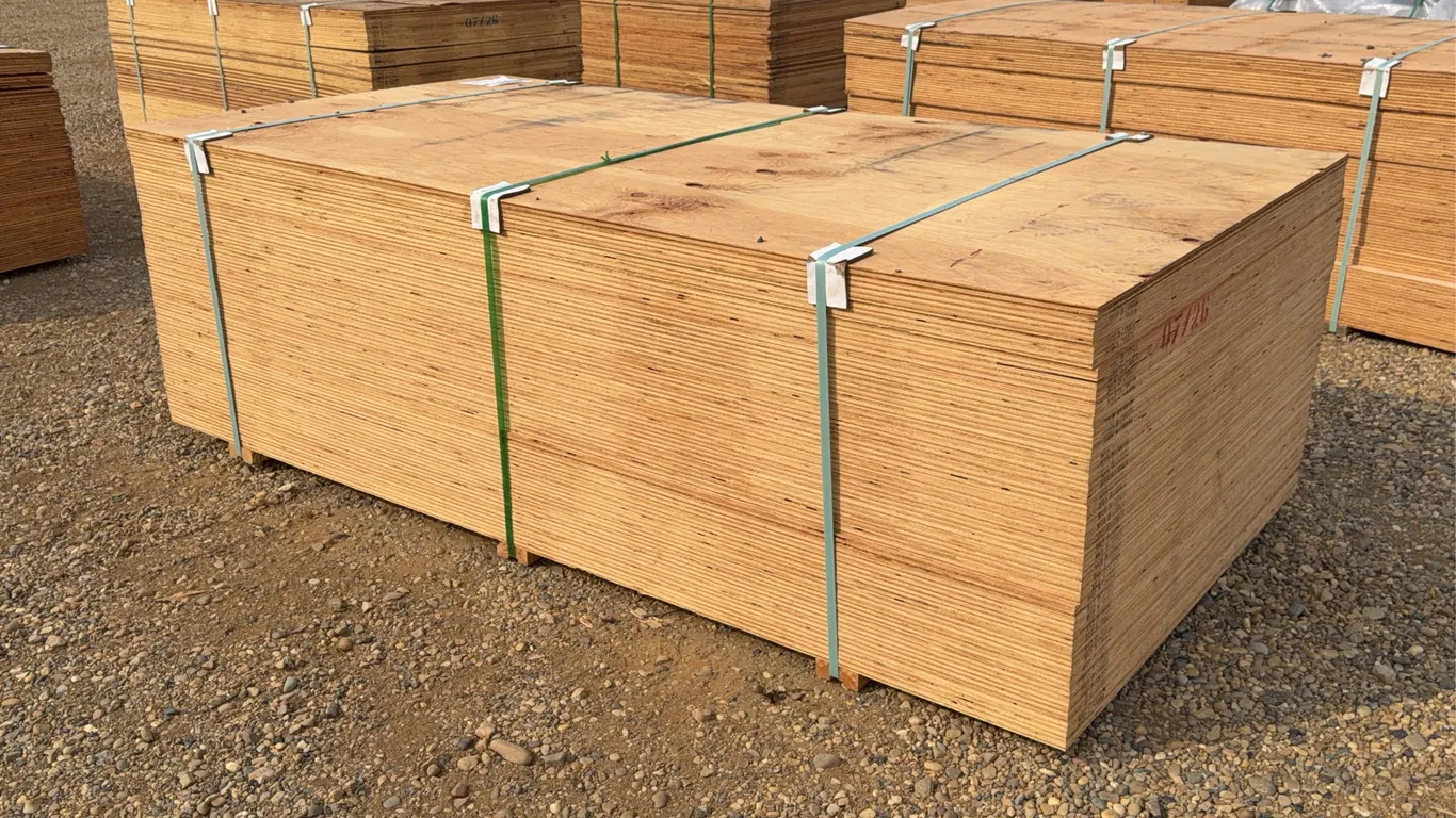 QTY of (40) 3/4 IN. 4x8 CSP/DFP No Stamp Plywood Unused
