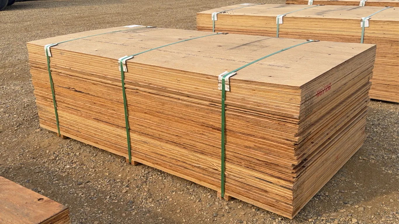 QTY of (50) 5/8 IN. 4x8 CSP/DFP No Stamp Plywood Unused