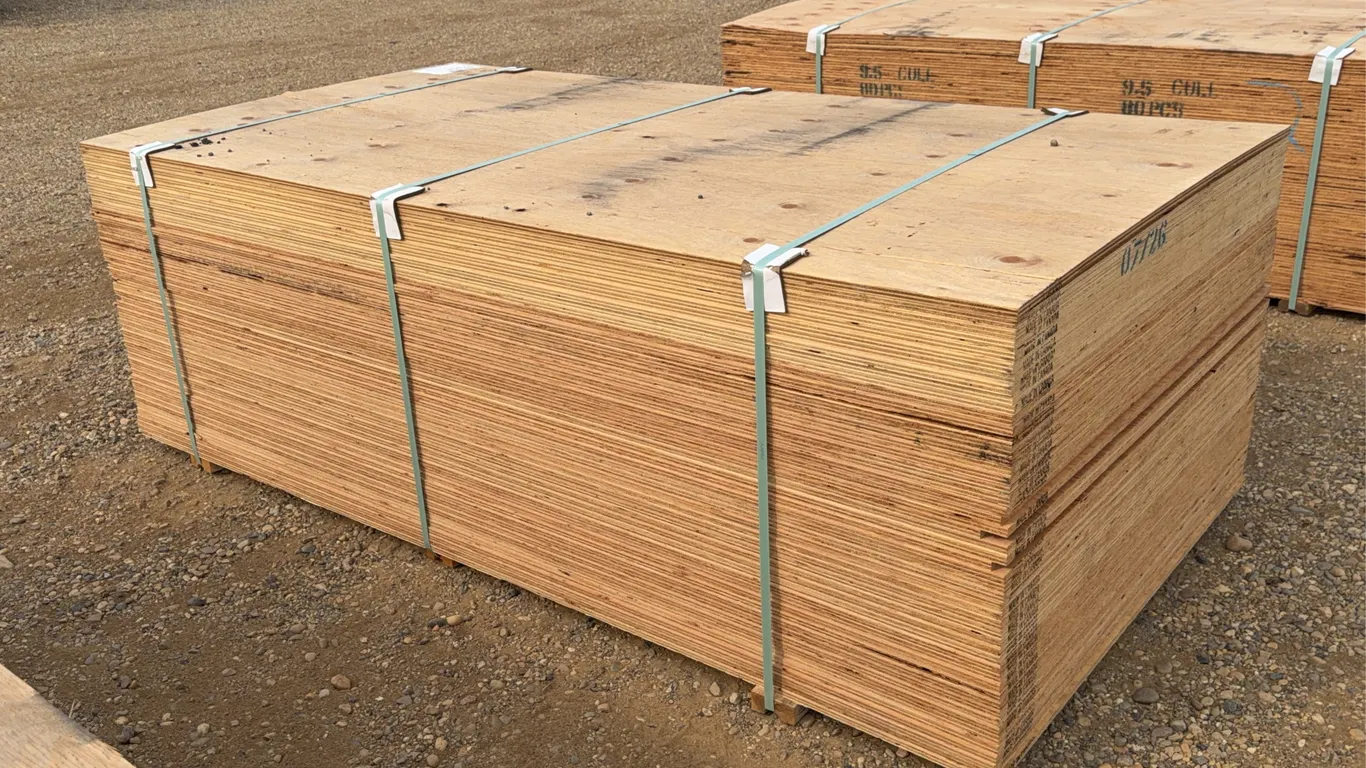 QTY of (50) 5/8 IN. 4x8 CSP/DFP No Stamp Plywood Unused