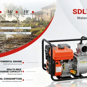 2026 SDLP600 Water Pump (Unused)