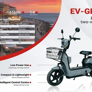 2026 EV-GRAY Electric Scooter (Unused)