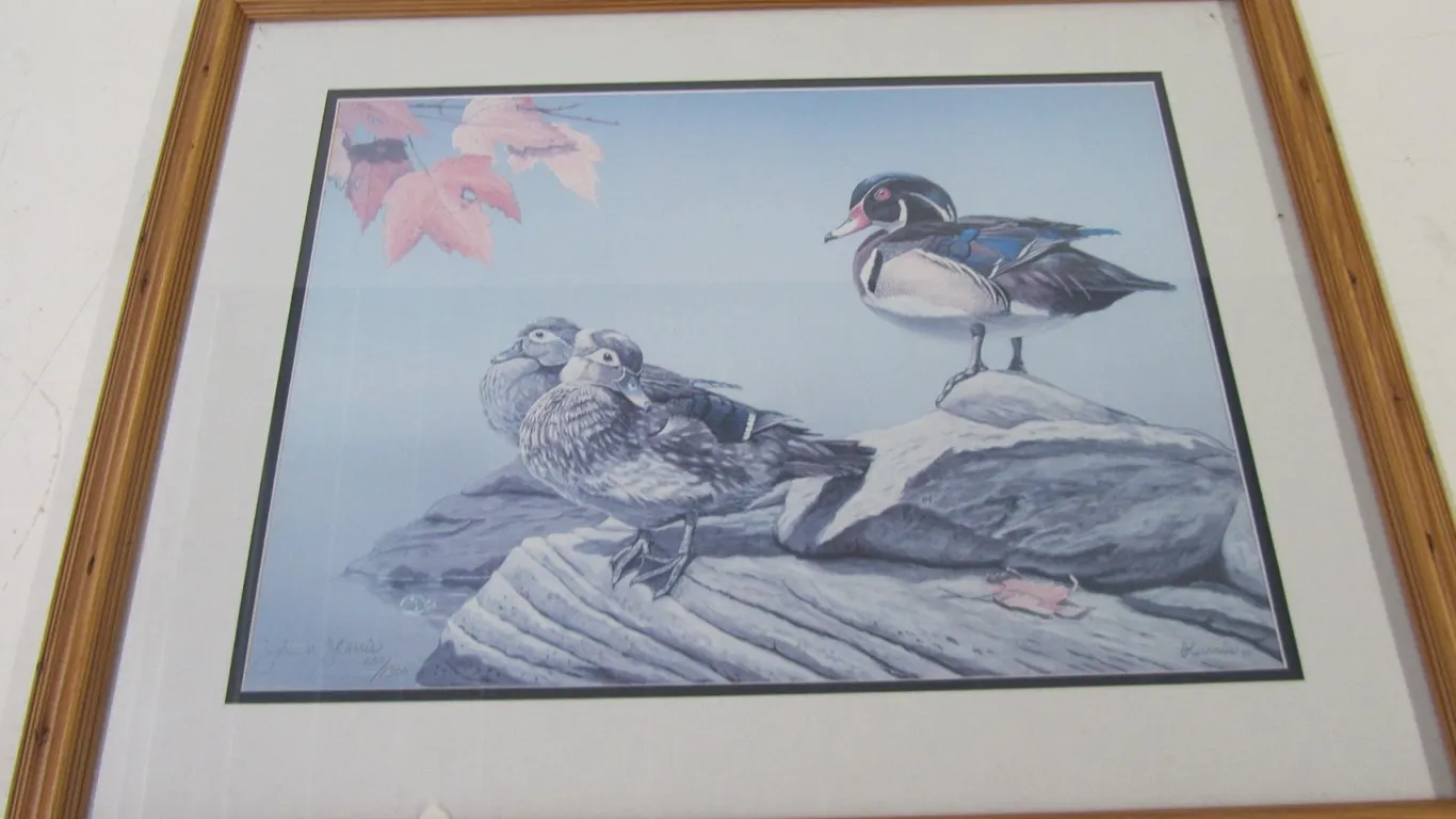 John Harris Duck Print