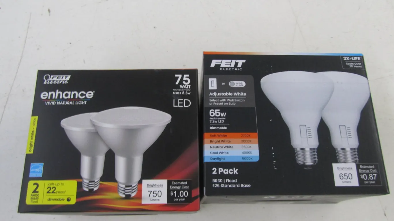 Feit LED 2-Pack Light Bulbs