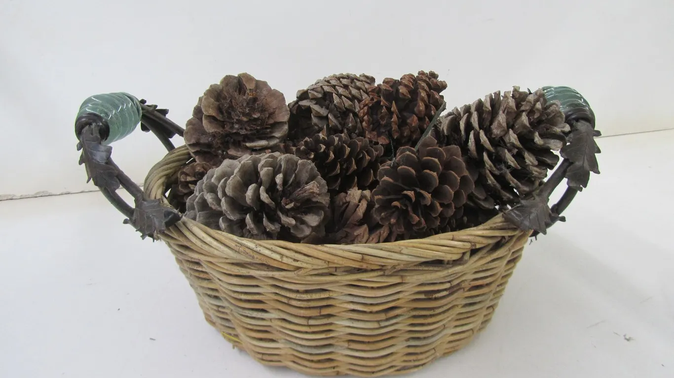 Wicker Basket w/Pine Cones
