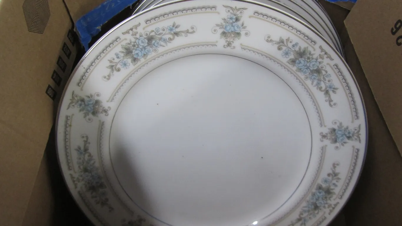 (12) Elington Fine Porcelain China Plates