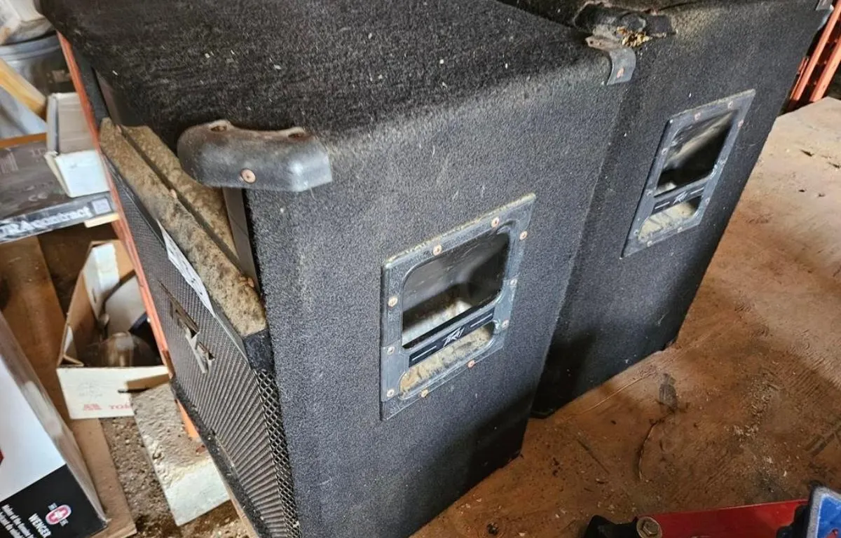 Peavey SP 5XT Speakers
UNRESERVED
