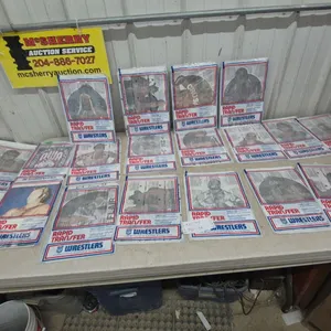 Vintage "Rapid Transfer" Wrestlers Iron-On Transfers, AWA and Superstar