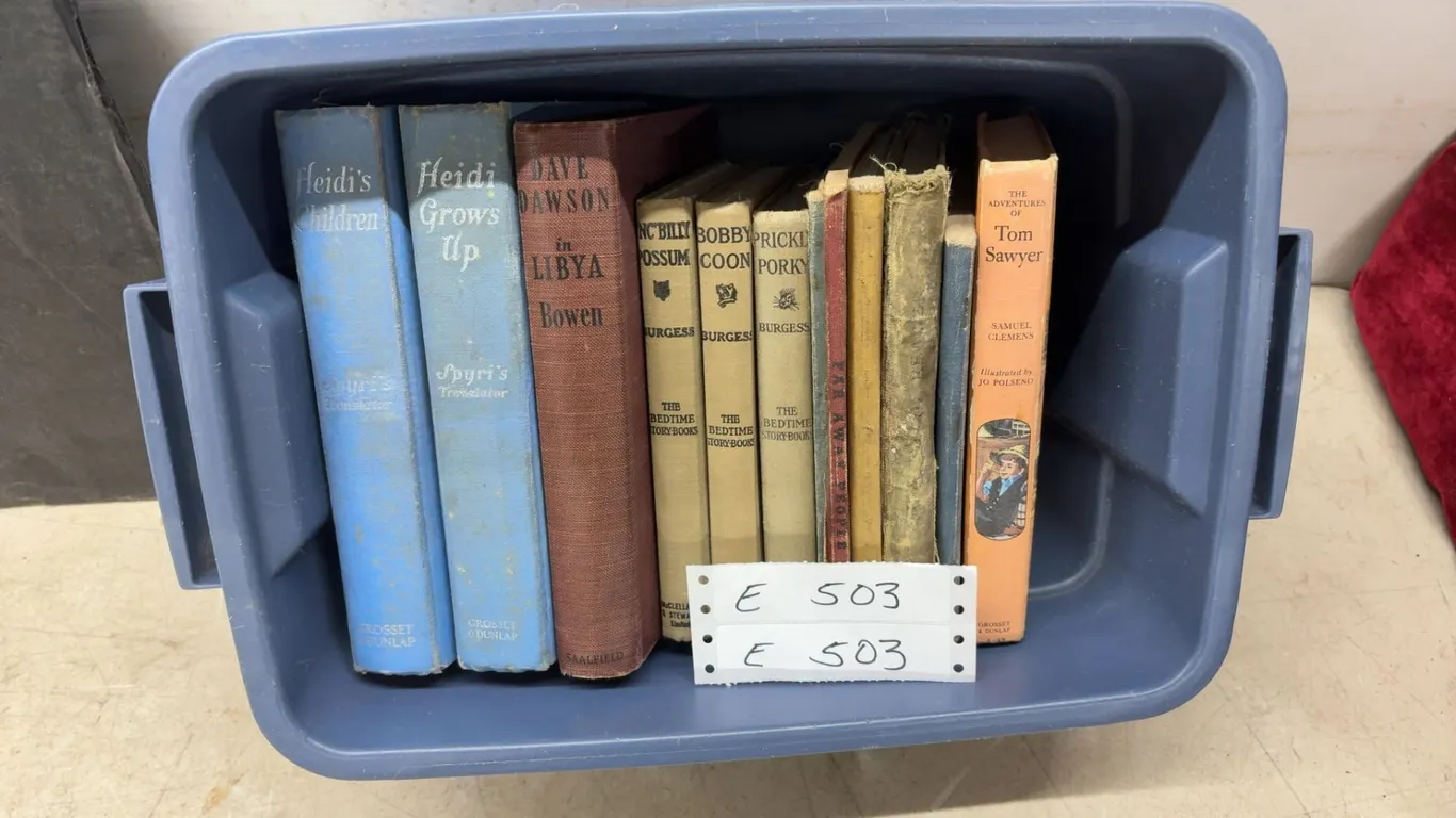 Vintage Book Lot Including Heidi, Tom Sawyer, Burgess Bedtime Stories and Canadian Textbooks with