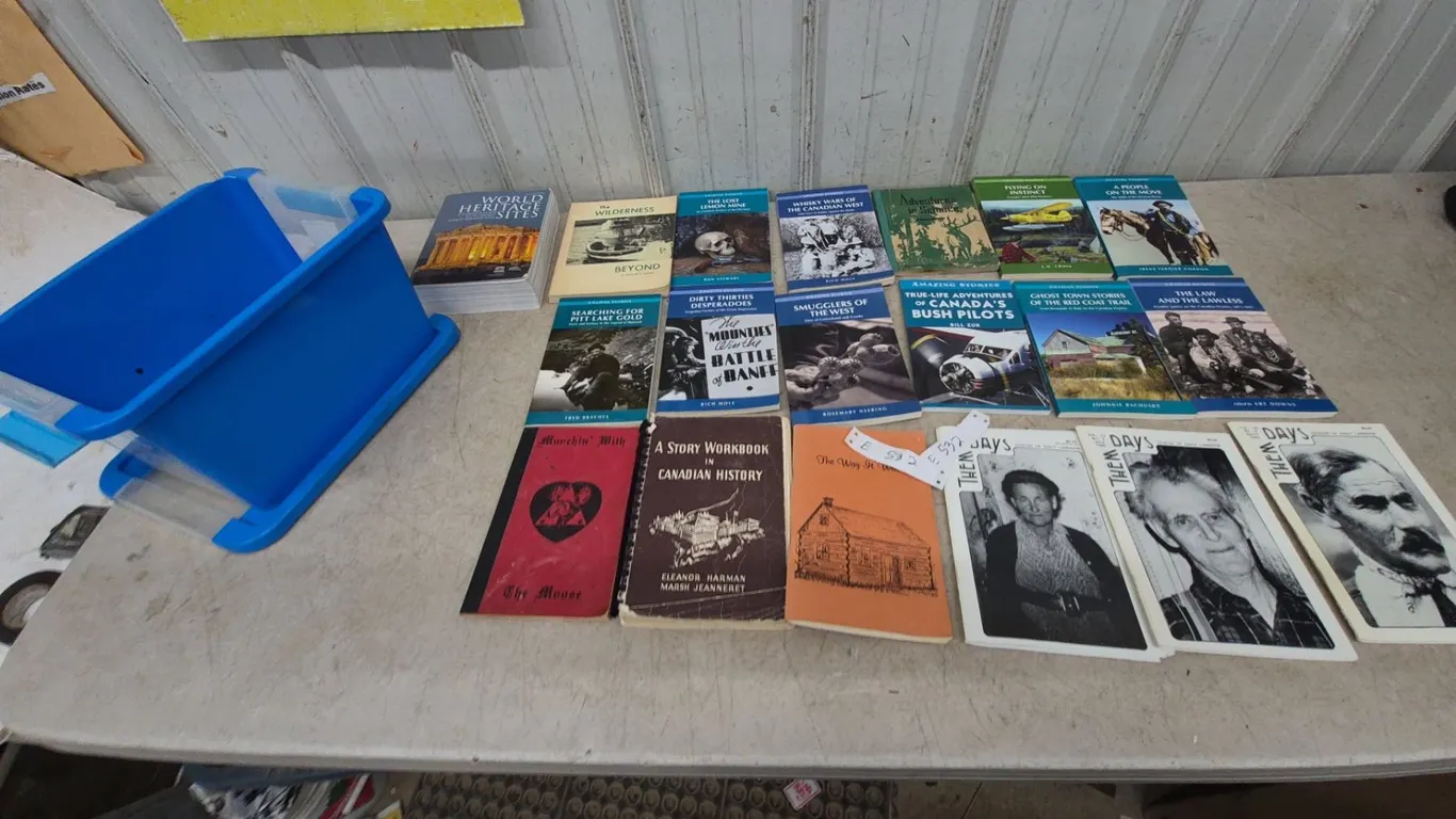 Assorted Books and Blue Plastic Bin