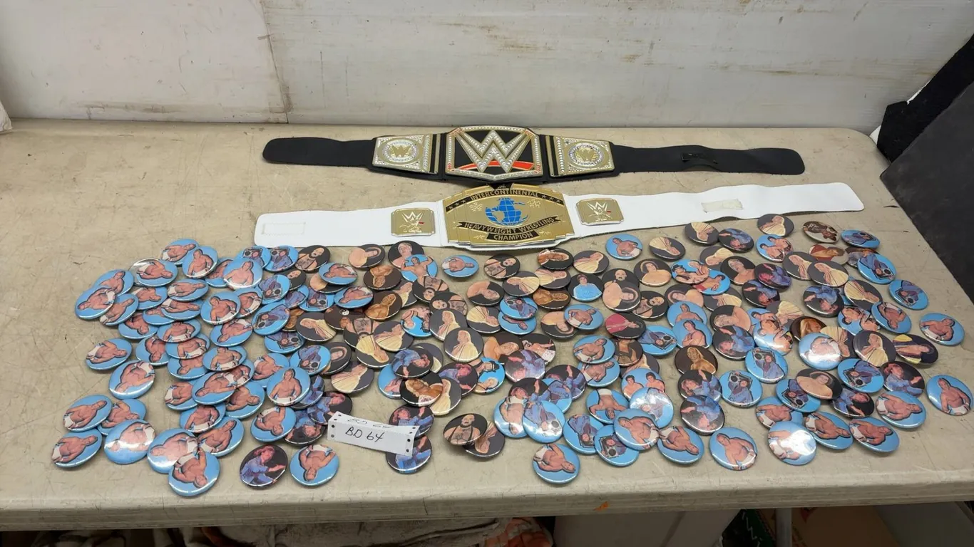 2 Vintage WWE Wrestling Belts and Large Lot of AWA Wrestling Badges: Hogan, Mad Dog
