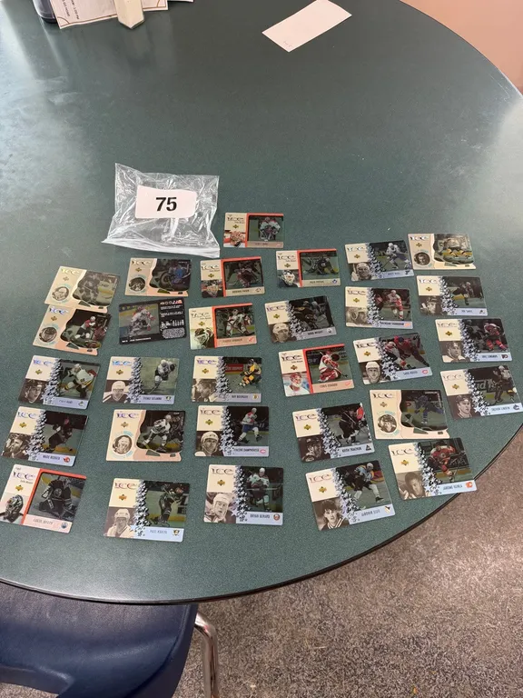 30 Vintage hockey cards
