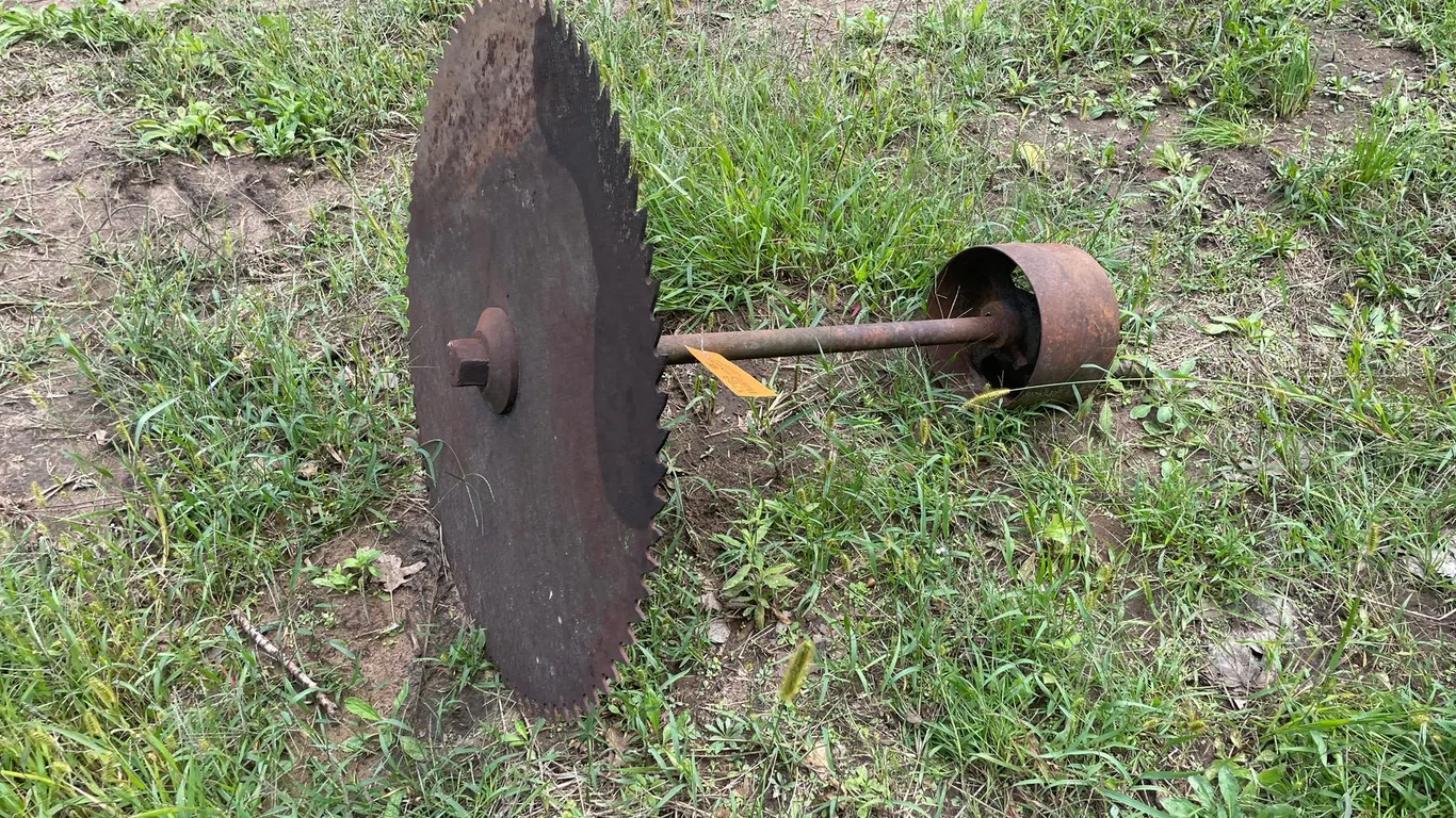 Buzz Saw Blade