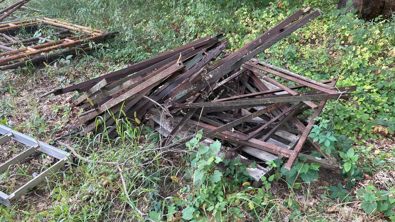 Scaffold Frames