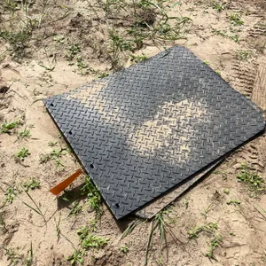 (2) Mud Flaps